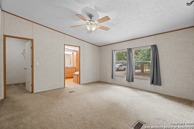 1100 Big Leaf, San Antonio, Texas image 13