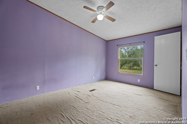 1100 Big Leaf, San Antonio, Texas image 16
