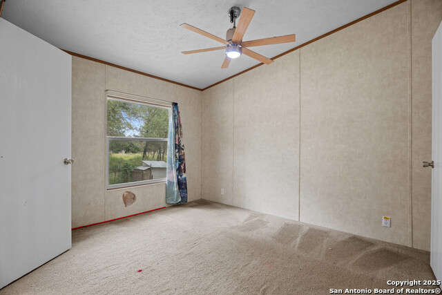 1100 Big Leaf, San Antonio, Texas image 18