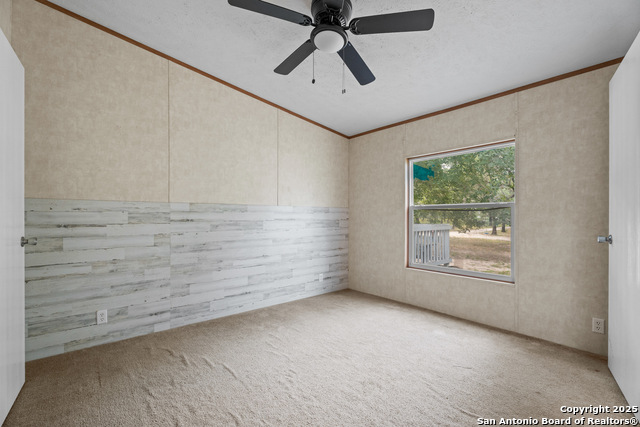 1100 Big Leaf, San Antonio, Texas image 19