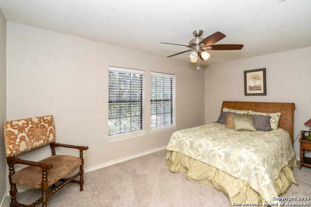 27301 Autumn Glen, Boerne, Texas image 44