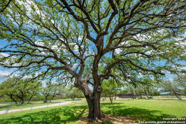 3157 Old San Antonio Road, Fredericksburg, Texas image 25