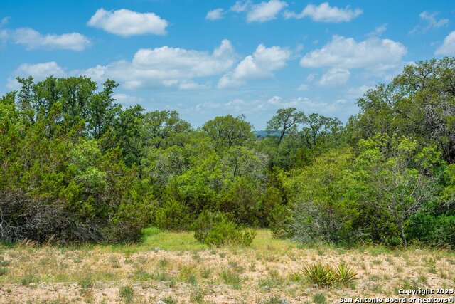 3157 Old San Antonio Road, Fredericksburg, Texas image 26