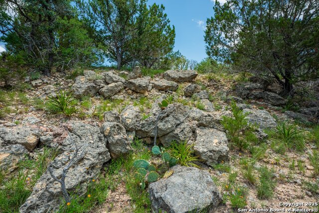 3157 Old San Antonio Road, Fredericksburg, Texas image 28
