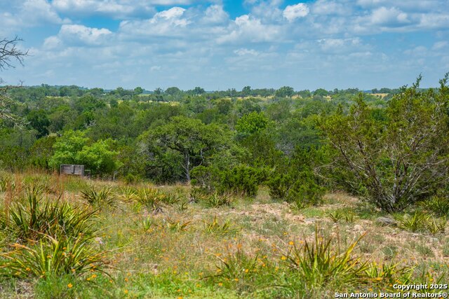 3157 Old San Antonio Road, Fredericksburg, Texas image 3