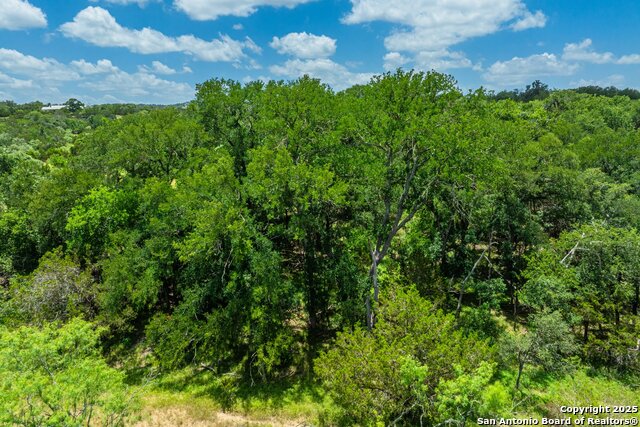 3157 Old San Antonio Road, Fredericksburg, Texas image 33