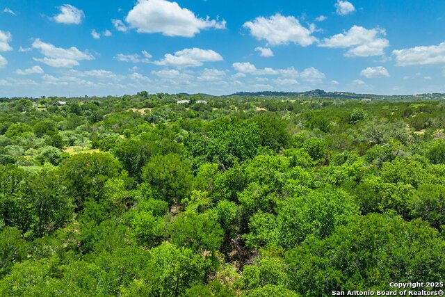 3157 Old San Antonio Road, Fredericksburg, Texas image 37