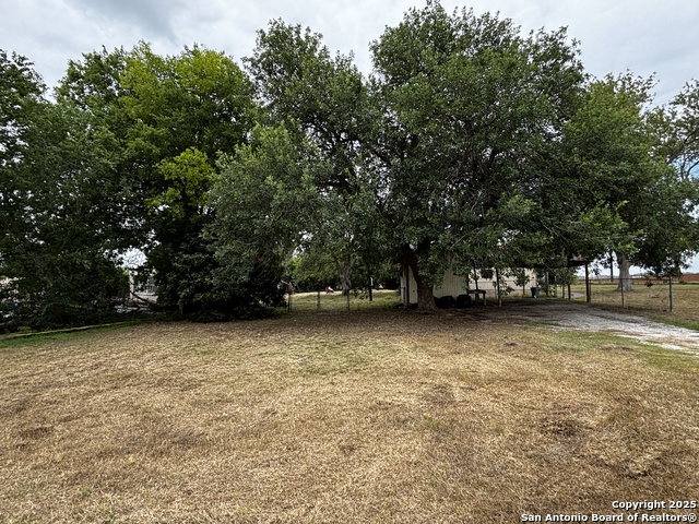 358 Zipp, New Braunfels, Texas image 3