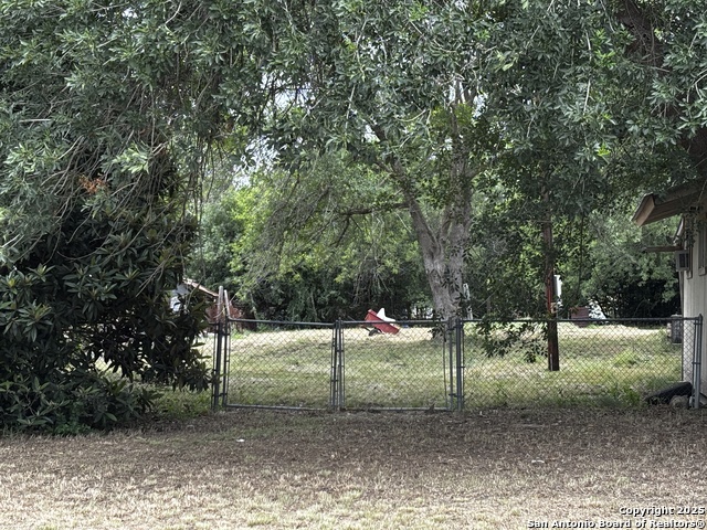 358 Zipp, New Braunfels, Texas image 5