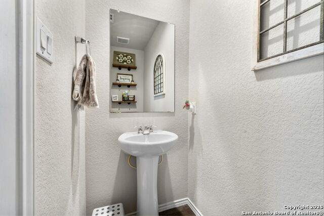 4538 Heathers Rose, Saint Hedwig, Texas image 13
