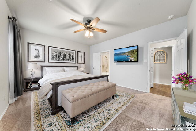 4538 Heathers Rose, Saint Hedwig, Texas image 14