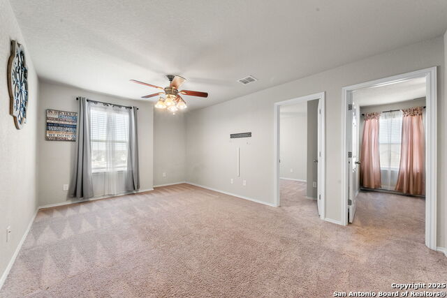 4538 Heathers Rose, Saint Hedwig, Texas image 19