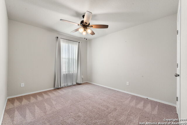 4538 Heathers Rose, Saint Hedwig, Texas image 21