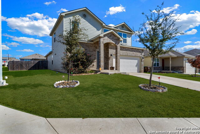 4538 Heathers Rose, Saint Hedwig, Texas image 3