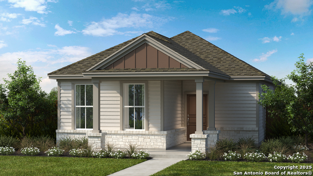 139 Trifle, New Braunfels, Texas image 1