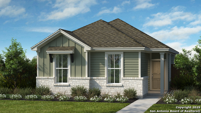 131 Trifle, New Braunfels, Texas image 1