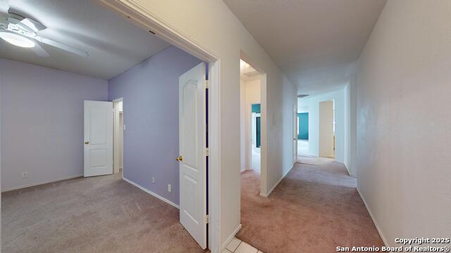 213 Tapwood, Cibolo, Texas image 3