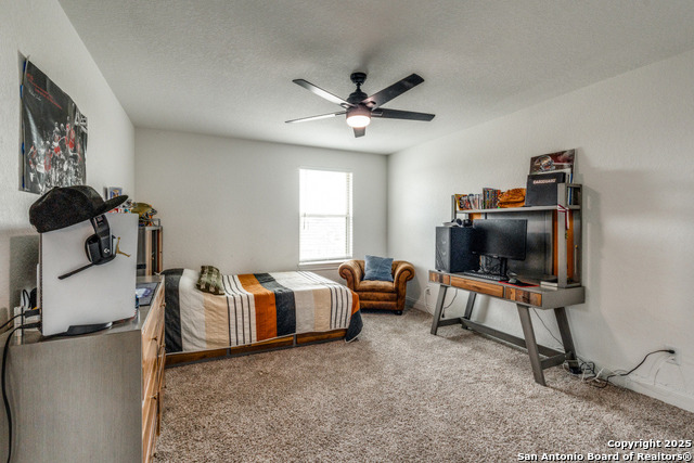 109 Willow Oak, Floresville, Texas image 17