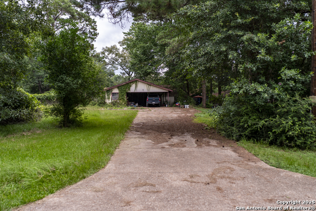 179 S Oak Bluff, Trinity, Texas image 2