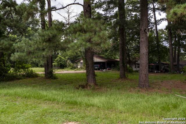 179 S Oak Bluff, Trinity, Texas image 3