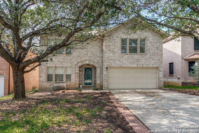 8527 Park Olympia, Universal City, Texas image 1