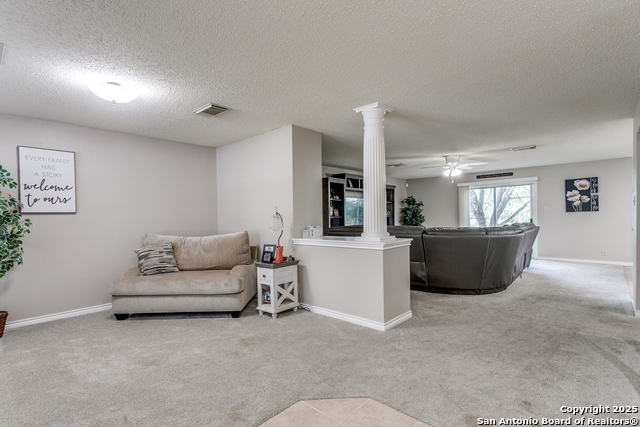 8527 Park Olympia, Universal City, Texas image 10