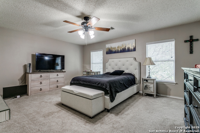 8527 Park Olympia, Universal City, Texas image 16