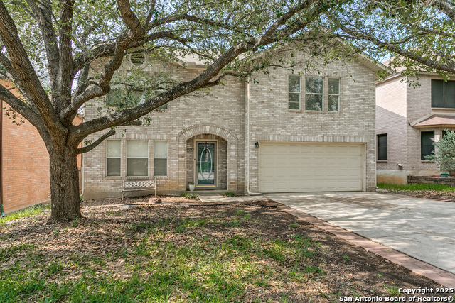 8527 Park Olympia, Universal City, Texas image 22