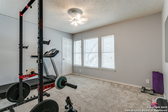 8527 Park Olympia, Universal City, Texas image 9