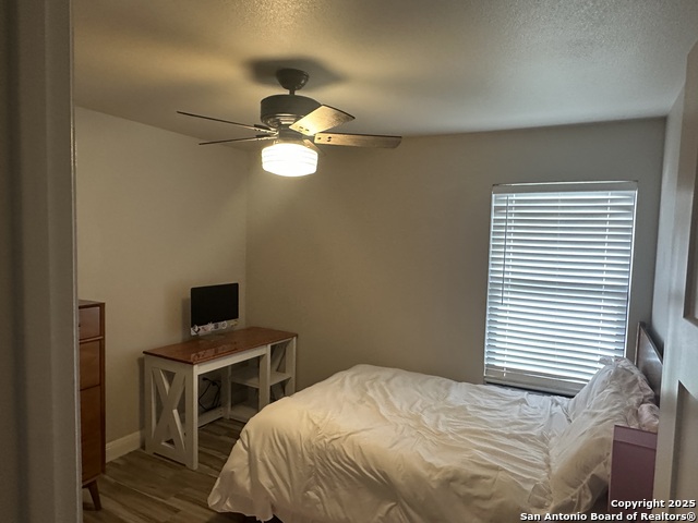 1300 Libold, Devine, Texas image 4