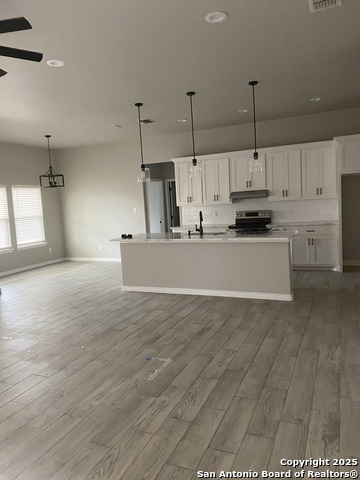414 Pitaya Lane, Del Rio, Texas image 6