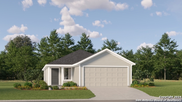 251 Ottawa Way, New Braunfels, Texas image 1