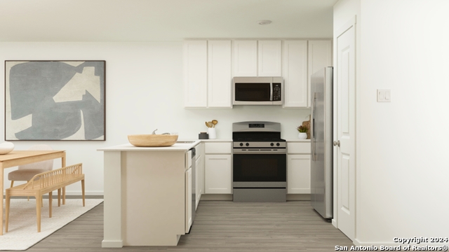 11560 Chestnut Rose, Converse, Texas image 4