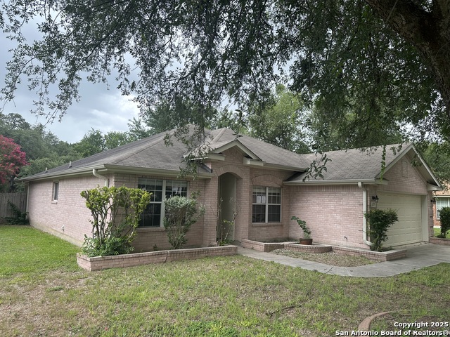 229 Rio Vista, Cibolo, Texas image 2
