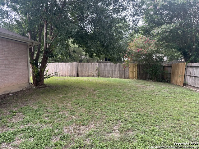 229 Rio Vista, Cibolo, Texas image 29