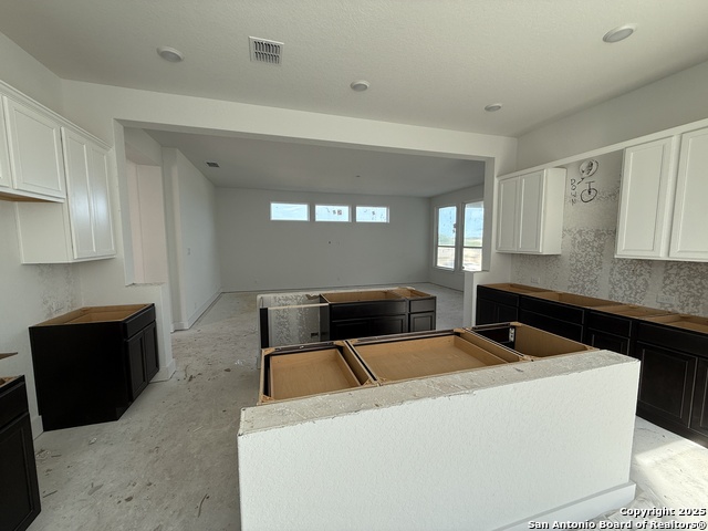 413 Hinsdale Pass, Cibolo, Texas image 6