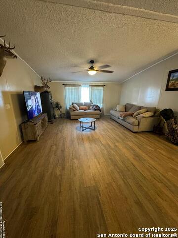 672 N Main St, Cotulla, Texas image 4