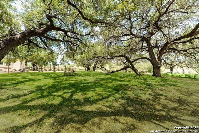103 Misty Bend, Floresville, Texas image 47