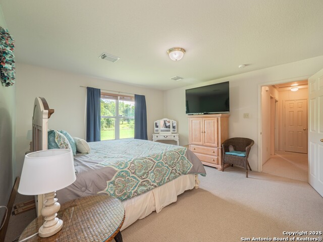 658 Lakeview Dr, Seguin, Texas image 17