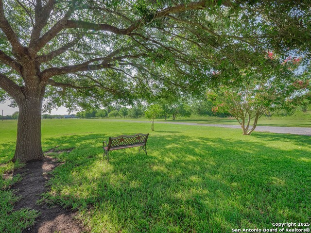 658 Lakeview Dr, Seguin, Texas image 35