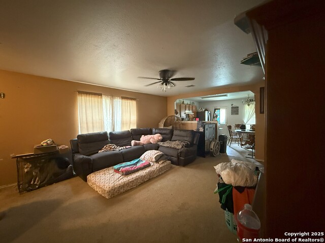 145 S Willow Way, Cibolo, Texas image 6