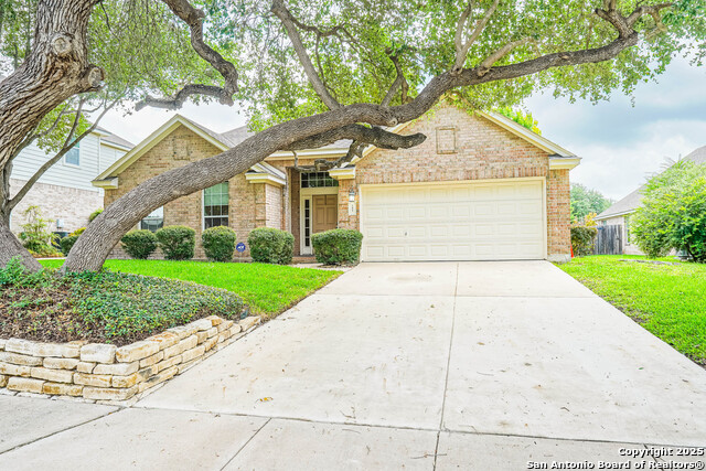 145 Green Brook, Cibolo, Texas image 1