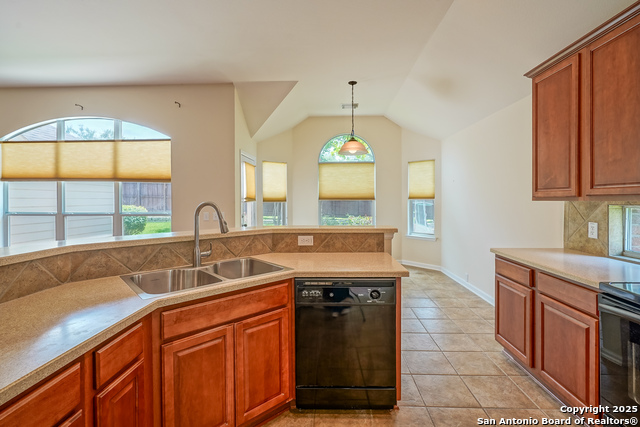 145 Green Brook, Cibolo, Texas image 18
