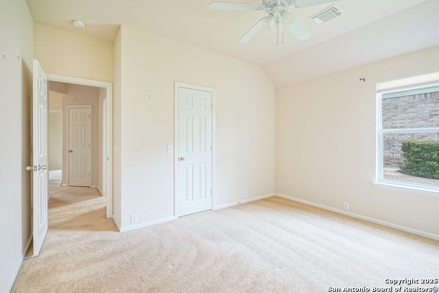 145 Green Brook, Cibolo, Texas image 22