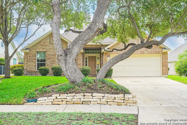 145 Green Brook, Cibolo, Texas image 3