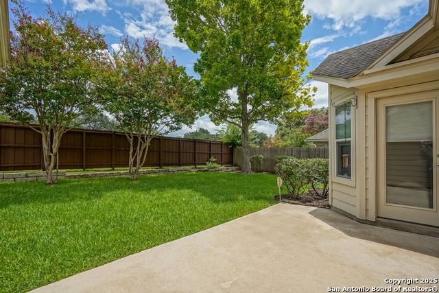 145 Green Brook, Cibolo, Texas image 31