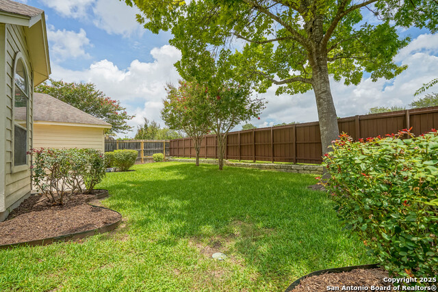 145 Green Brook, Cibolo, Texas image 34