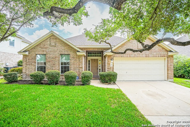 145 Green Brook, Cibolo, Texas image 4