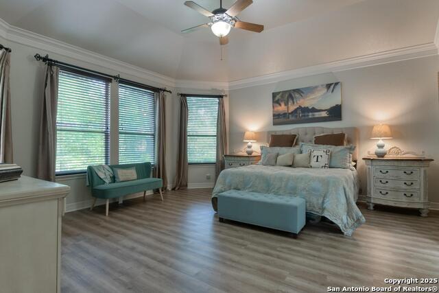 23235 Crest View Way, San Antonio, Texas image 13