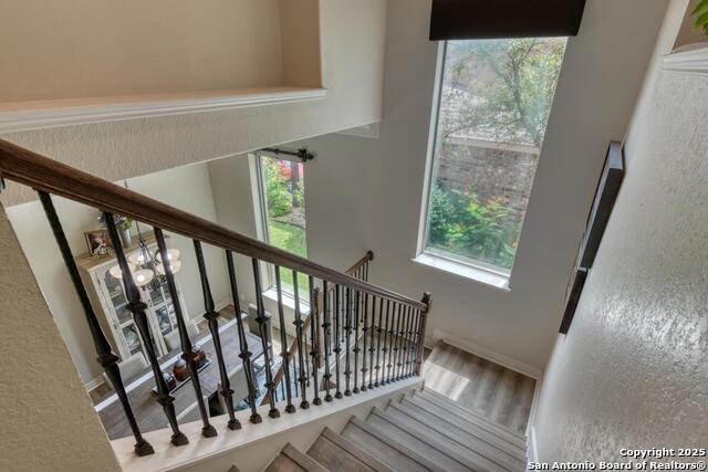 23235 Crest View Way, San Antonio, Texas image 17